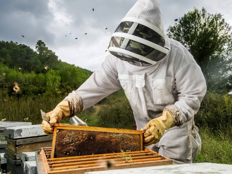 Beekeeper Jacket Cleaning and Caring Tips